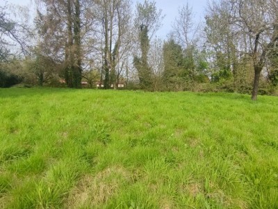 TERRAIN A BATIR A VENDRE - ELNES - 59000 €